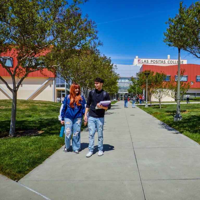 Two students walk side by side on a sunny campus pathway lined with trees.